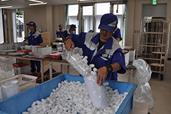 障がい者雇用の促進