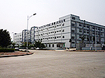 住友電工電子製品(深圳)有限公司