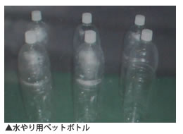“できる”に合わせた道具:水やり用ペットボトル