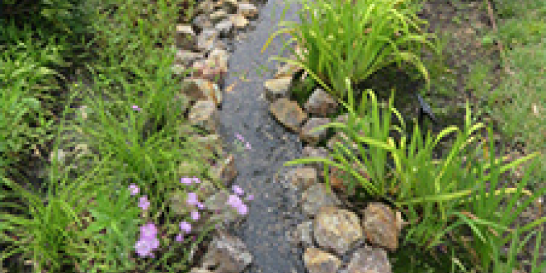 日新電機株式会社での、雨水を循環利用する自然な河川環境の「水景」