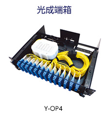 広東代表:崔艶霞(CUI Yanxia)選手