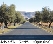 ナパバレーワイナリー（Opus One）