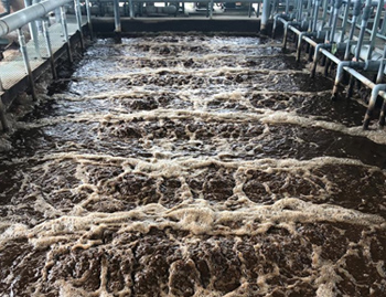 製油工場　放流排水水質向上